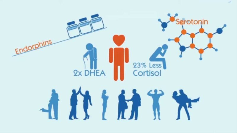 الفوائد العلمية لفعل الخير