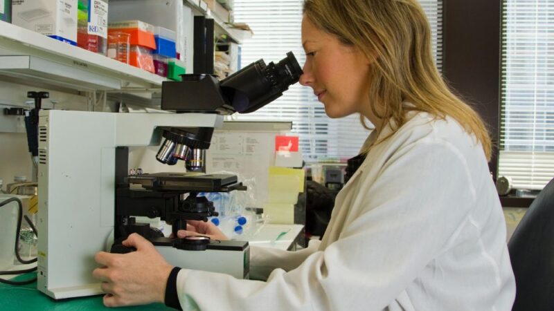 تحديد الحمض النووي الريبي الدائري يمكن أن يساهم في الاكتشاف المبكر للسرطان