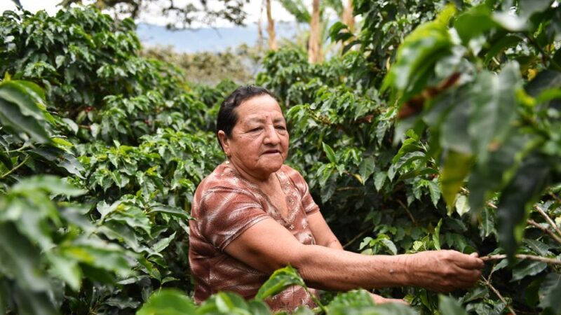 نحو مستقبل مستدام: احتضان الاقتصاد الدائري لمواجهة الأزمة الثلاثية التي يعاني منها كوكبنا