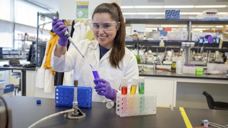 طفرة في تكنولوجيا المواد البلاستيكية القابلة لإعادة التدوير بلا حدود