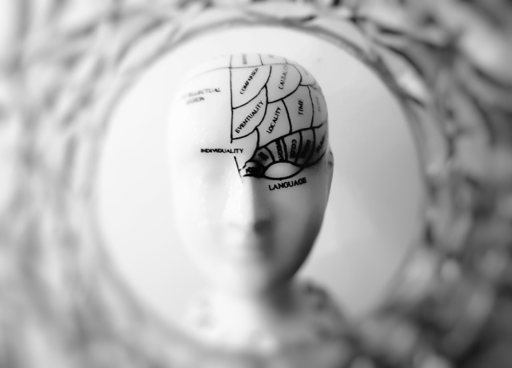 كيف يمكن للوعي أن يعتمد على خلايا الدماغ التي تعمل بشكل جماعي – أبحاث جديدة على الفئران
